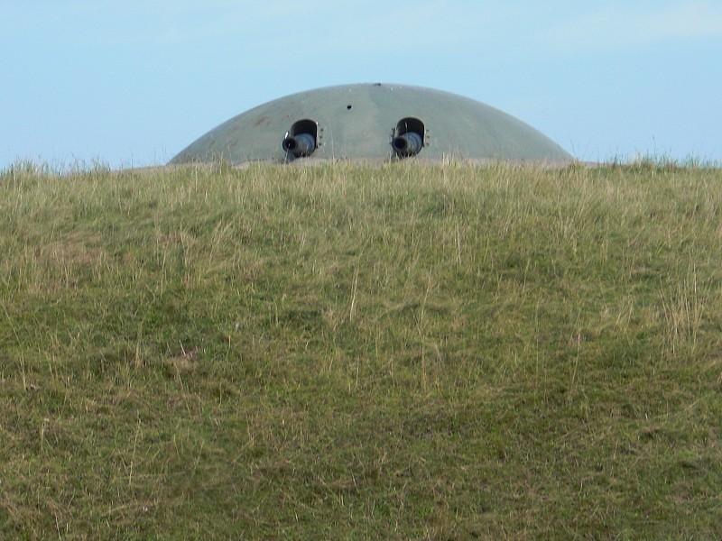 cimg0874.jpg cimg0874.jpg