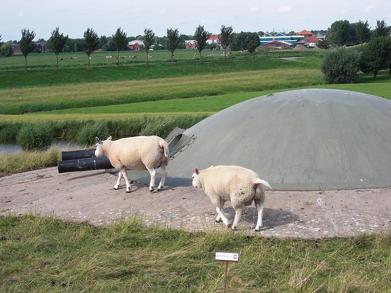 cimg0876.jpg cimg0876.jpg